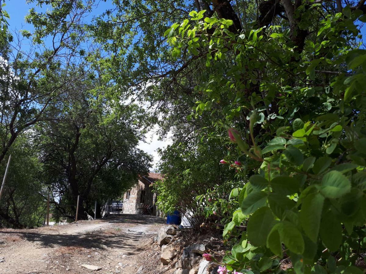 فيلا Agrompelo House أغروس المظهر الخارجي الصورة